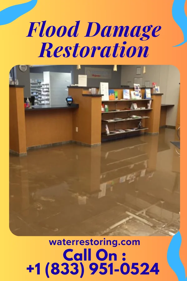 Flood Damage Restoration in North New Hyde Park, NY
