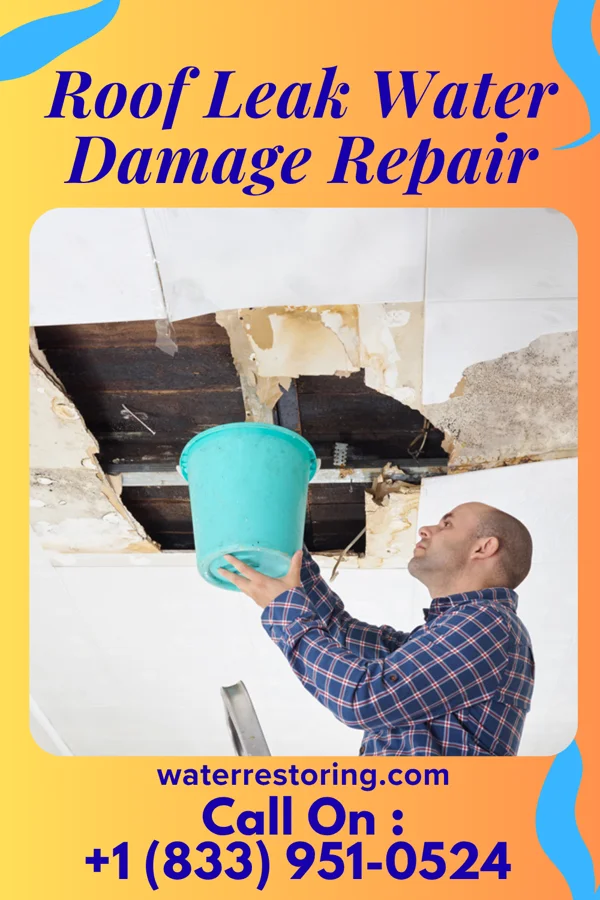 Roof Leak Water Damage Repair in North New Hyde Park, NY