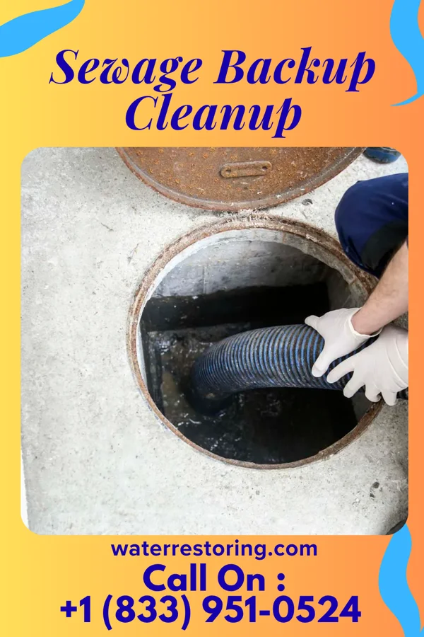 Sewage Backup Cleanup in North New Hyde Park, NY