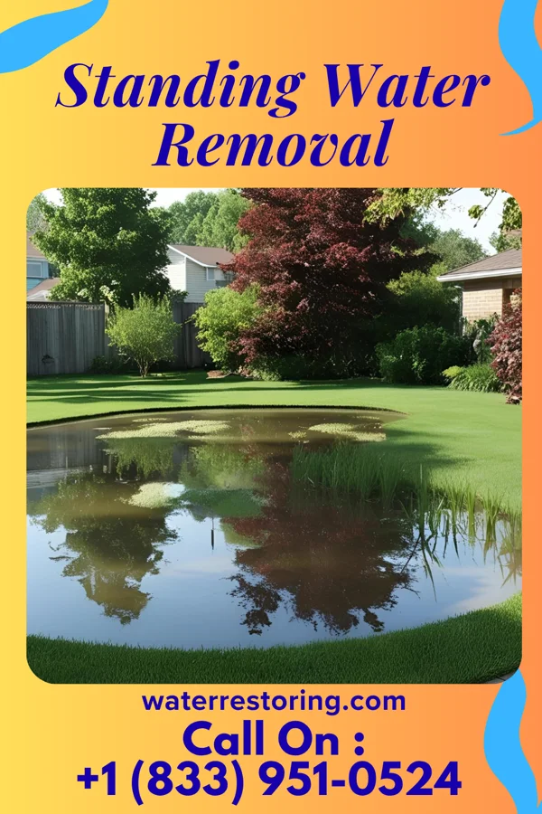 Standing Water Removal in North New Hyde Park, NY
